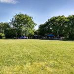 Camp Gateway Brooklyn Tamarak and Goldenrod