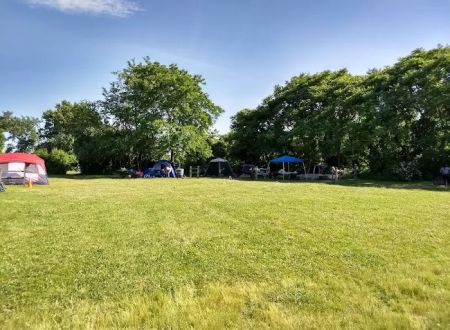 Camp Gateway Brooklyn Tamarak and Goldenrod