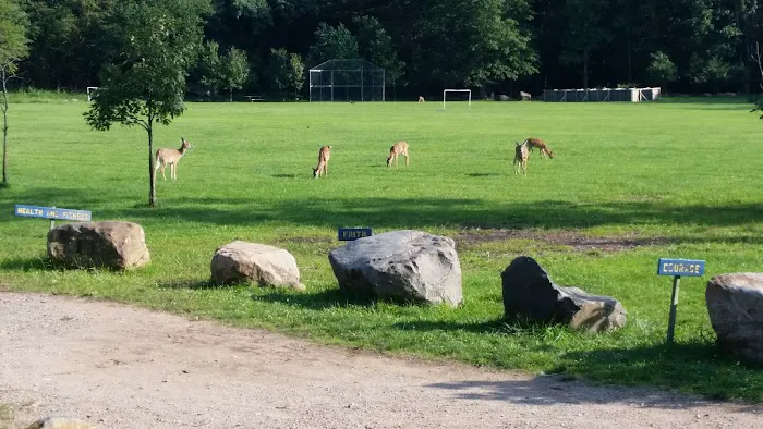 Pouch Camporee Field Picture 1
