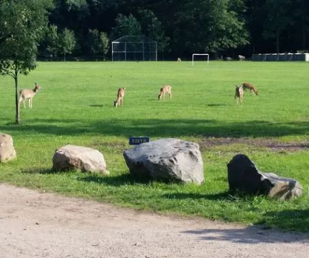 Pouch Camporee Field