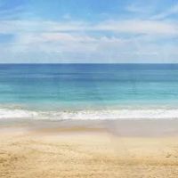 Vacation Connection ico