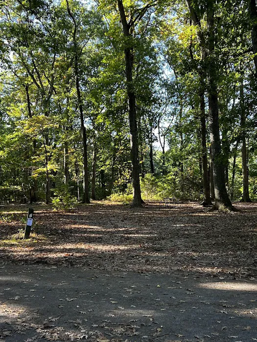 Family Camping Area Picture 3