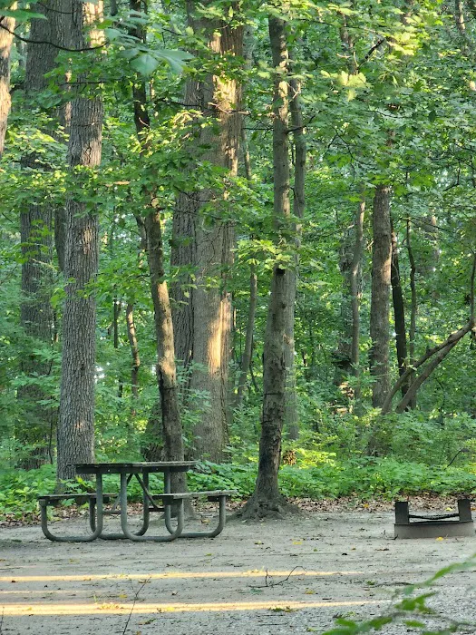 Family Camping Area Picture 5