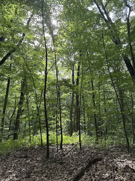 Thompson Park Scout Reservation Picture 2