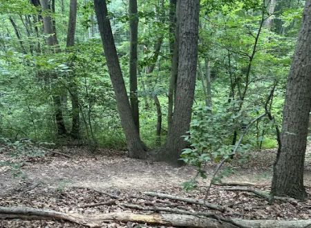 Thompson Park Scout Reservation