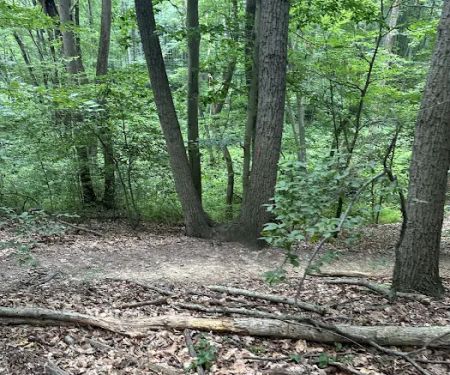 Thompson Park Scout Reservation