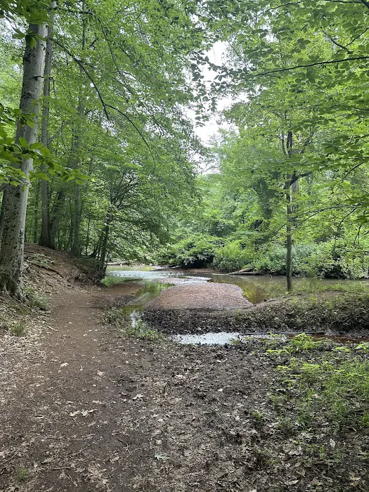 Thompson Park Scout Reservation Picture 4