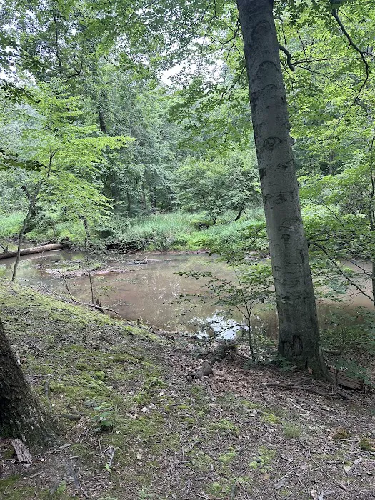 Thompson Park Scout Reservation Picture 5