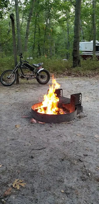 Turkey Swamp Campground Picture 2