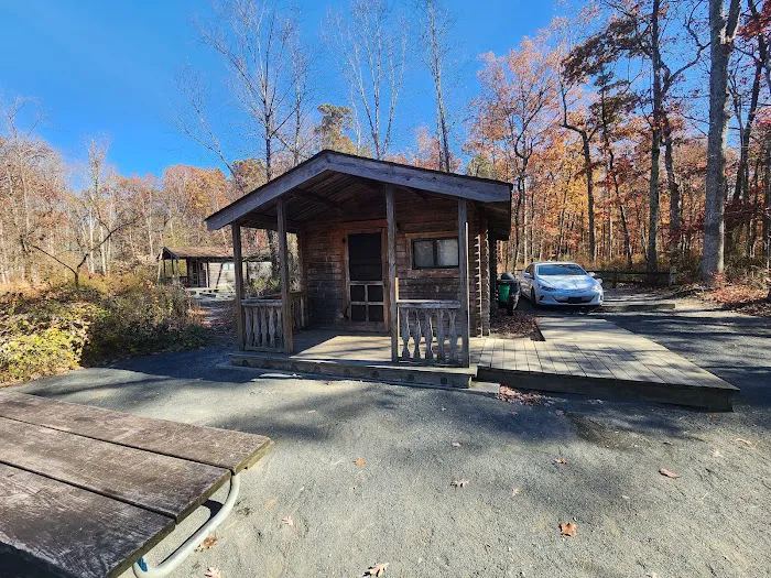 Turkey Swamp Campground Picture 3