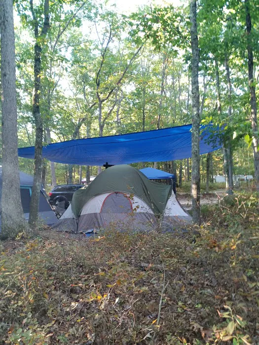 Turkey Swamp Campground Picture 7