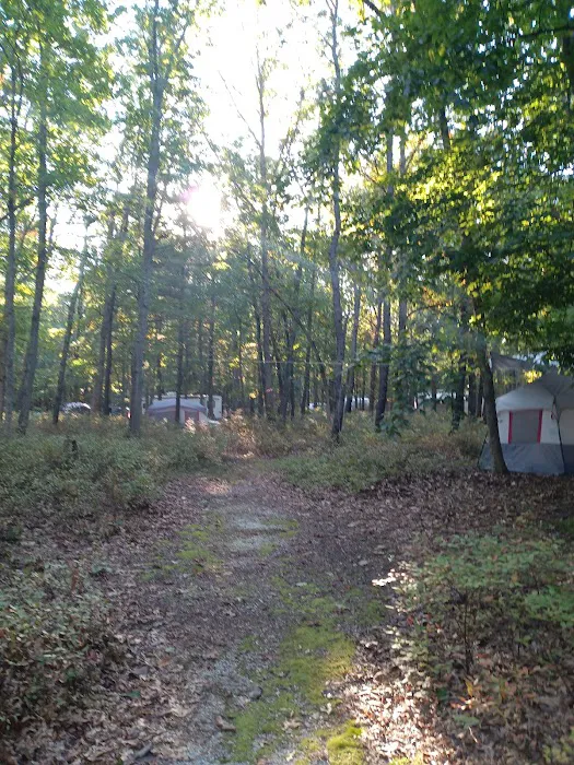 Turkey Swamp Campground Picture 8