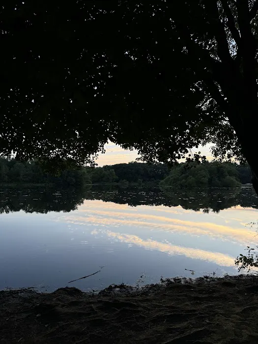 Turkey Swamp Campground Picture 10