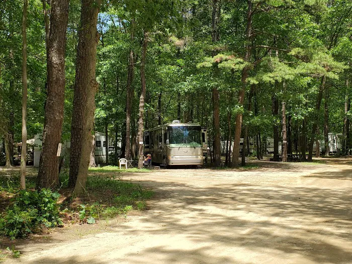 Pine Cone Resort Picture 2