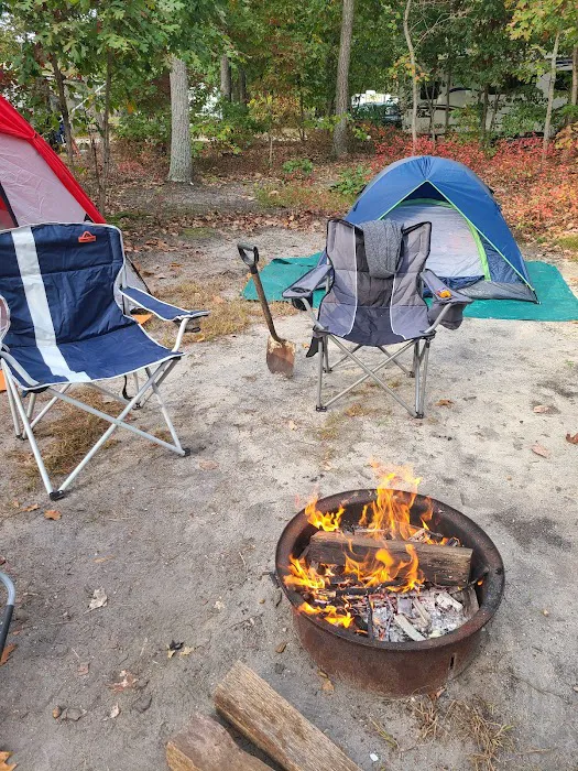 Pine Cone Resort Picture 4
