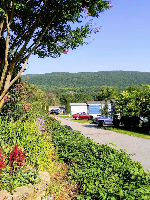 Hudson View Terrace Picture 6