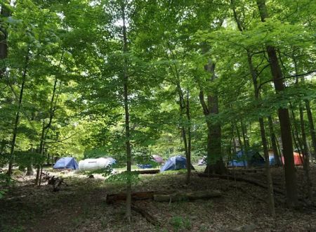 North Carolina Site 11
