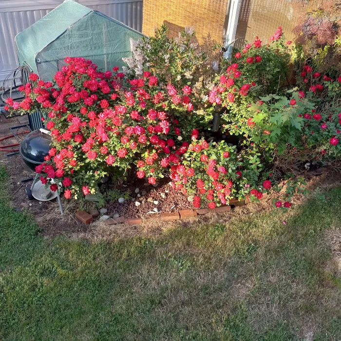 Friendly Mobile Park Picture 8