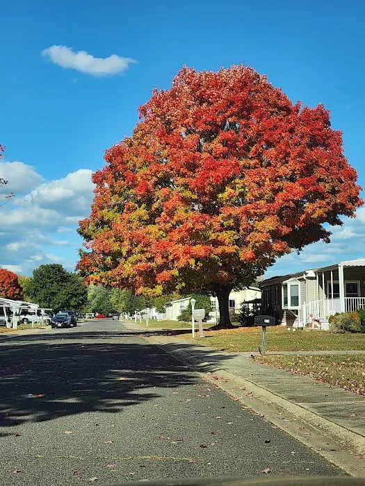 Silvermead Picture 8