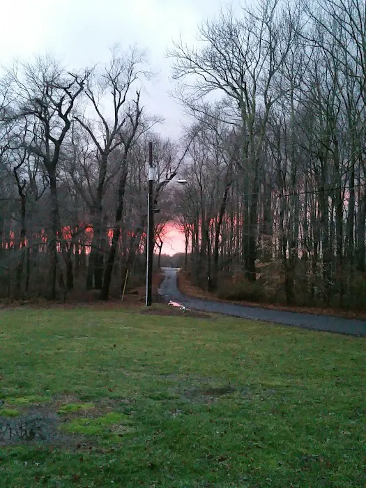 Green Acres NJ Picture 2