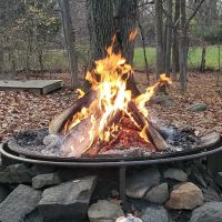 Virginia Site 10 ico