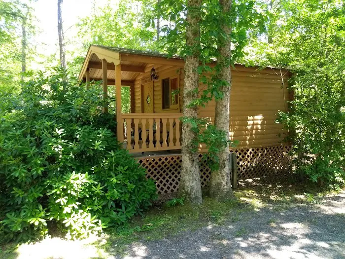 Butterfly Camping Resort Picture 5