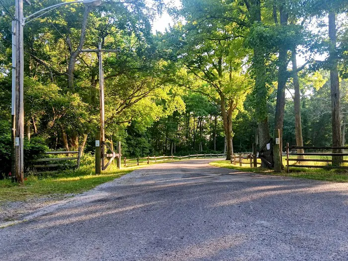 Allaire State Park Campground Picture 3