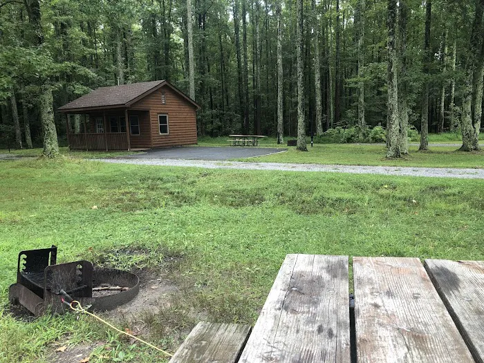 Allaire State Park Campground Picture 1