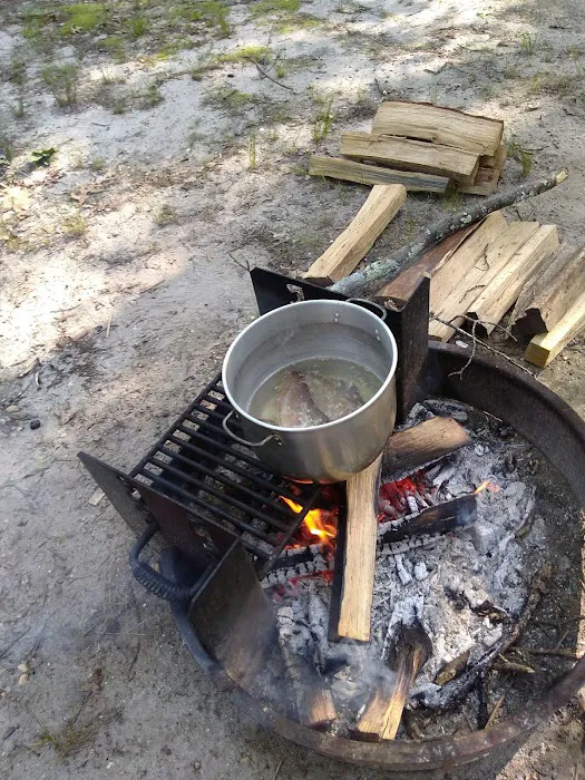 Allaire State Park Campground Picture 6