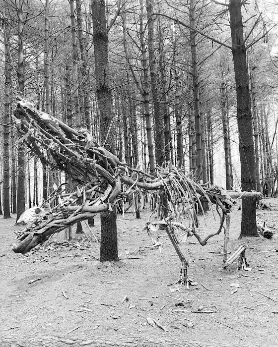 Allaire State Park Campground Picture 9