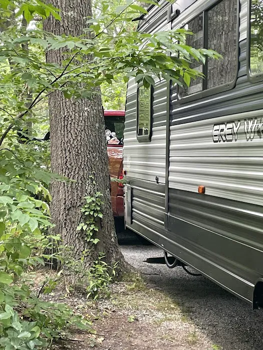 Allaire State Park Campground Picture 8