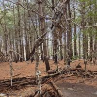 Allaire State Park Group Campsite ico