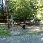 Camp Scuffy