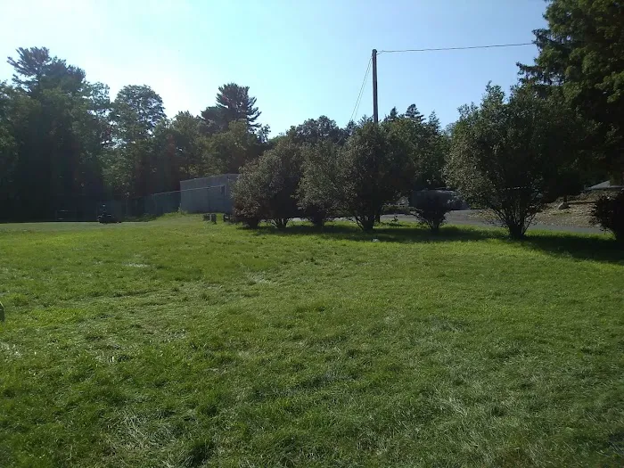 Camp Scuffy Picture 5