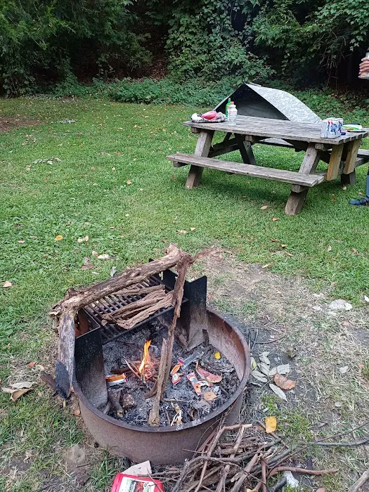 Croton Point Park Campground Picture 10