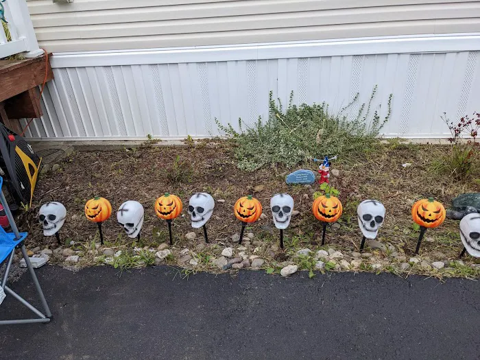 Bob Mobile Home Park Picture 1