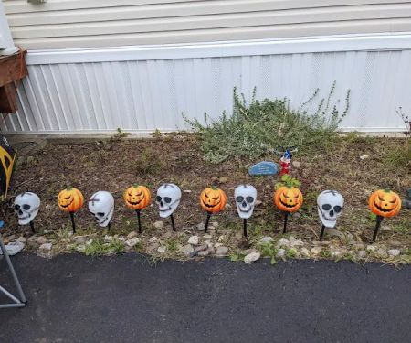 Bob Mobile Home Park