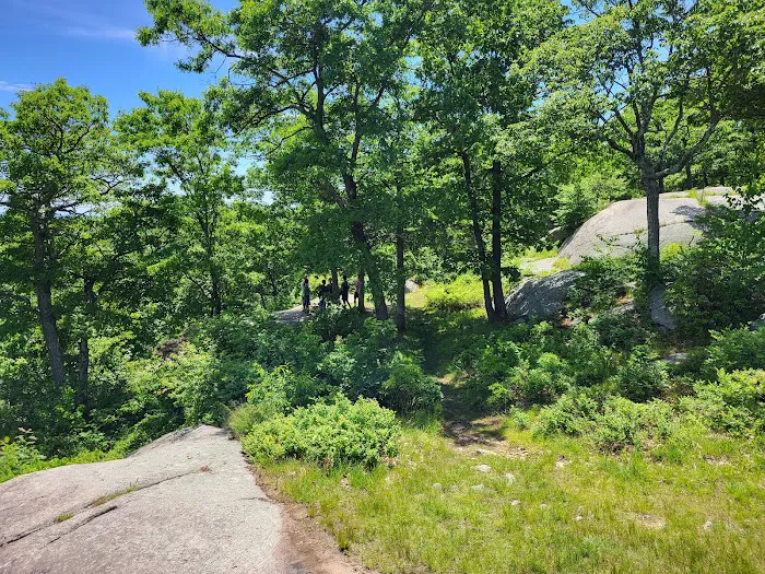 Big Hill Shelter Picture 6