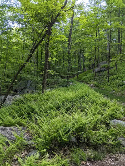 Big Hill Shelter Picture 9