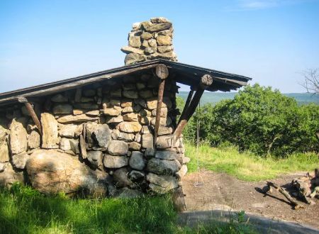 Tom Jones Shelter