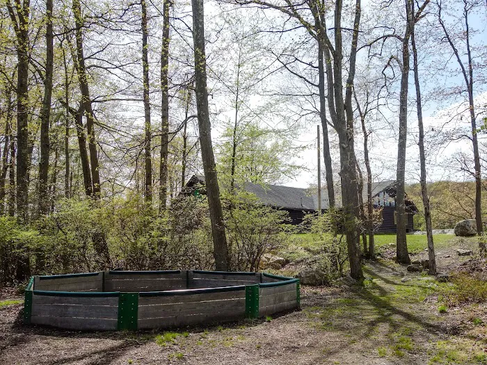Camp Homeward Bound Picture 4