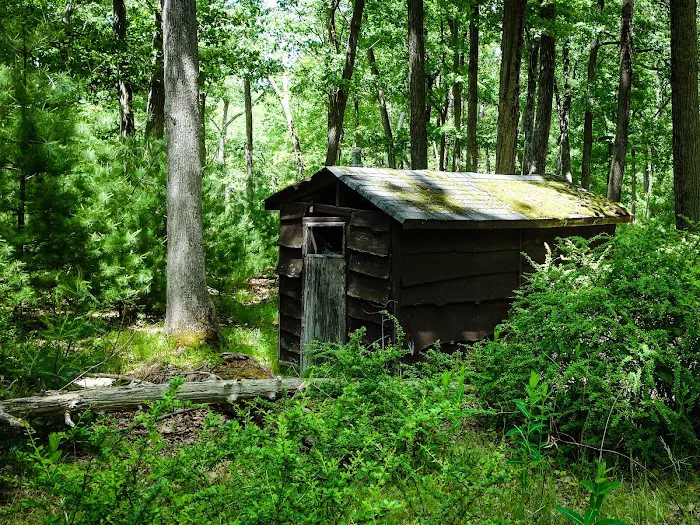 Camp Winonah Picture 3