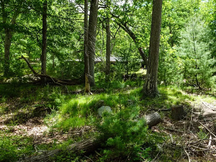 Camp Winonah Picture 9