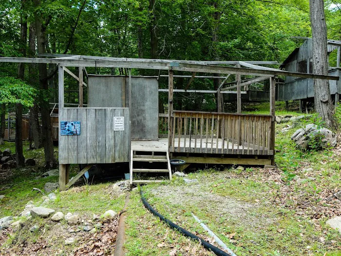 Camp Eureka Picture 1