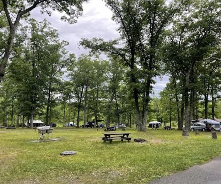Beaver Pond Campground