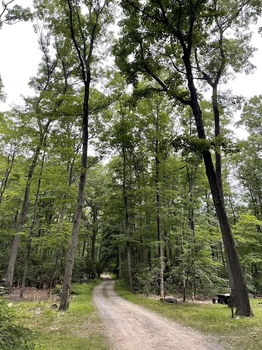 Beaver Pond Campground Picture 9