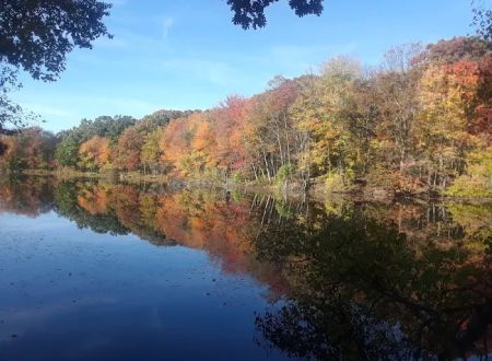 Sun-Air Lakeside Camp