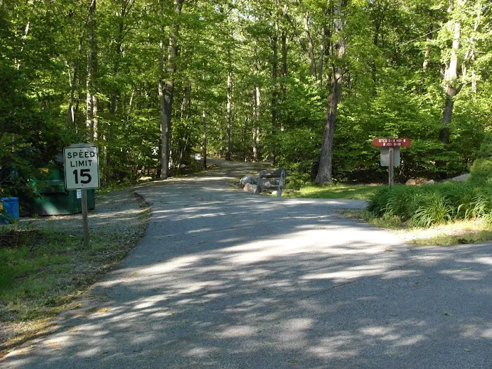 Mahlon Dickerson Campgrounds Picture 5