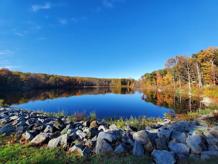 Mahlon Dickerson Campgrounds Picture 8