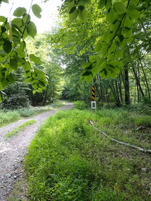 Mahlon Dickerson Campgrounds Picture 9